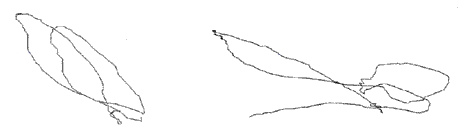 fig.2 Left and Right : The Variations of Conductor’s Right Hand Strokes