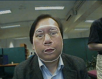 Figure 4: Real-time face tracker system with spline curves classifying primary face structures.