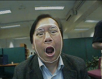 Figure 4: Real-time face tracker system with spline curves classifying primary face structures.